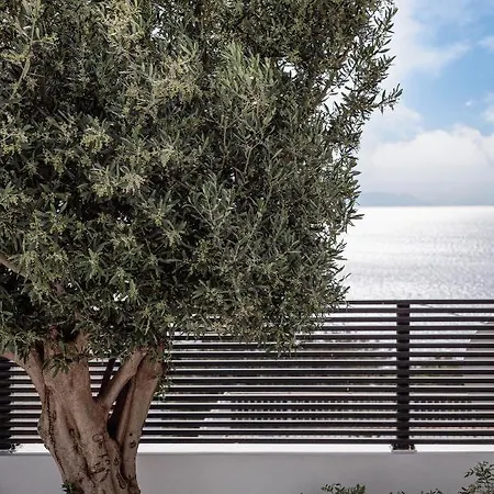 Black Stone Villa *